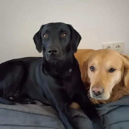 Literaturhaus Schmoekermuehle 3*