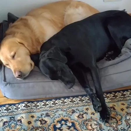 Literaturhaus Schmoekermuehle ベッド・アンド・ブレックファスト