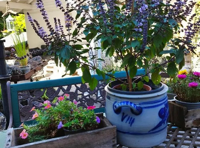 Literaturhaus Schmoekermuehle