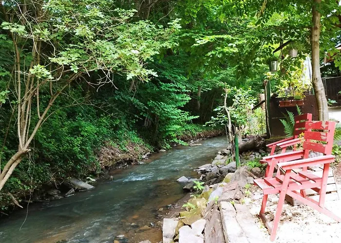 Literaturhaus Schmoekermuehle 3* Andernach