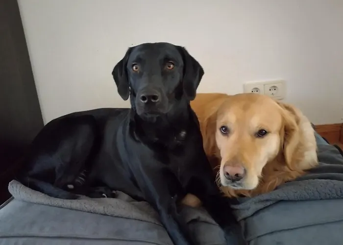 Literaturhaus Schmoekermuehle 3*