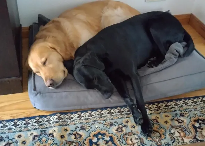 Literaturhaus Schmoekermuehle Bed & Breakfast